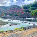 渡月橋の写真_1022703