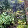 洗心の滝の写真_1025412