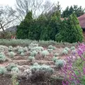 香木の森公園の写真_1025764
