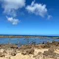 シャークスコーブの写真_1032206