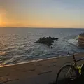 宮城海岸の写真_1032337