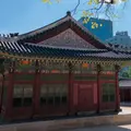 徳寿宮/トクスグン/덕수궁の写真_1035013