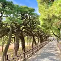 栗林公園の写真_1035711