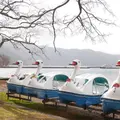 十和田湖の写真_1039523
