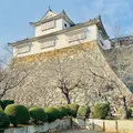 津山城跡の写真_1041897
