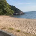 仙酔島の写真_1042849