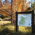 神戸市立森林植物園の写真_1043153