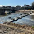 荒神橋近くの飛石の写真_1043745