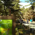 再度公園の写真_1044979