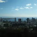 ビーナスブリッジの写真_1044988