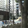 越前堀跡の写真_1045041