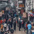 楓涇古鎮旅遊区（東南門）の写真_1050651