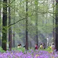 東平国家森林公園の写真_1050712