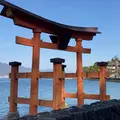長浜神社の写真_1050860