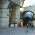 中央区立泰明小学校の写真_1051471