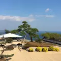 アカオハーブ＆ローズガーデンの写真_1051528