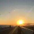 湘南港灯台の写真_1052633
