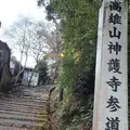 神護寺の写真_1054299