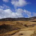 稲取細野高原の写真_1056498