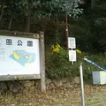 星田公園の写真_1058990