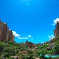 Aulani, A Disney Resort & Spa（アウラニ・ディズニー・リゾート＆スパ）の写真_1060929