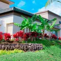 Waikele Premium Outletsの写真_1060934