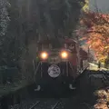 嵯峨野トロッコ列車の写真_1062595