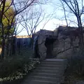 しょうぶ沼公園の写真_1066842