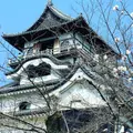 犬山城の写真_1075131