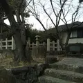 栂山城 (西山城) 跡の写真_1075720