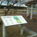 原池公園の写真_1075725