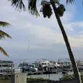 アガットの写真_1078065