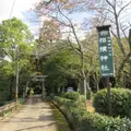 相撲神社の写真_1079988