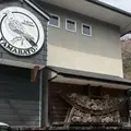 山鳩の写真_1085953