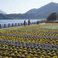 池田湖遊園地の写真_1086777