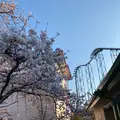 富士急ハイランドの写真_1091459