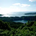 八望台の写真_109523