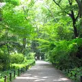 国立科学博物館附属自然教育園の写真_109624