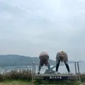 天橋立ビューランドの写真_1099017