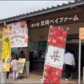 笠岡ベイファームの写真_1099146
