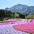 羊山公園の写真_1099178
