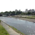 鴨川の写真_109965