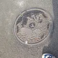 うるま市のマンホールの写真_109992