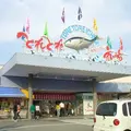 とれとれ市場の写真_110144