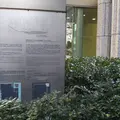 iiyo!! (イーヨ!!)の写真_1102026