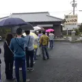 【閉業】旬菜魚彩しいのみの写真_110513
