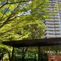 HARIO CAFE 泉屋博古館東京店の写真_1106844