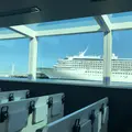 シーバスの写真_1107310