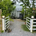 ベリー グッドの写真_1109066