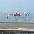梅津寺駅の写真_111029